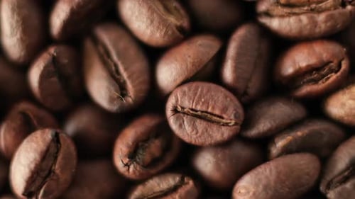 Roasted Coffee Beans Close Up Macro Dolly