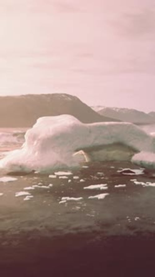 A Stunning Display of Icebergs Floating on a Serene Body of Water