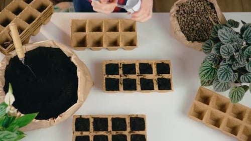 Top Down View Woman Gardening at Home Diligently Plants Plant Seeds in Fertile Soil
