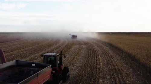 Drone shot of combine harvesting corn with tractor in Texas