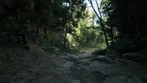Serene Dirt Road Cutting Through Rocky Forest