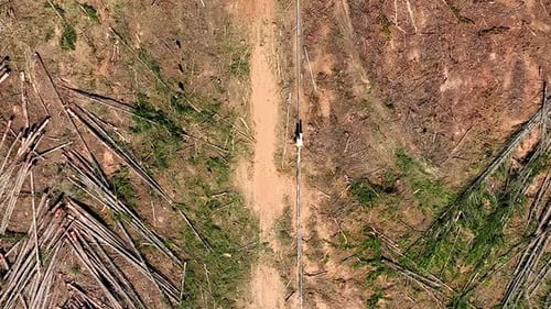 Aerial drone view of deforestation of a tropical rainforest
