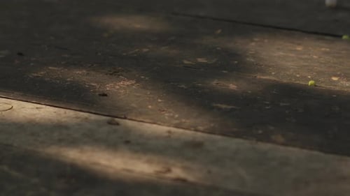 Sunlight Shadow Over Wooden Plank Outdoor. Close-up Shot