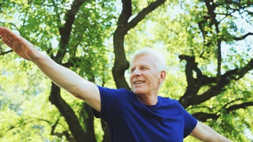 Seniors Practicing Yoga Poses in Sunny Park