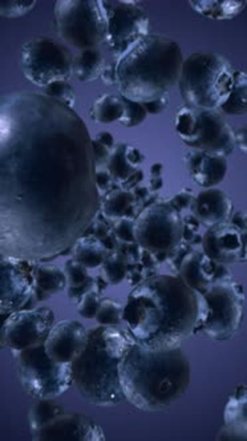 Falling Blueberries in Slow Motion with Realistic Movement