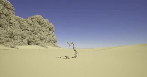 Karge Wüstenlandschaft mit verdrehten Bäumen und Felsformationen unter klarem Himmel