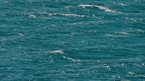Blue Sea