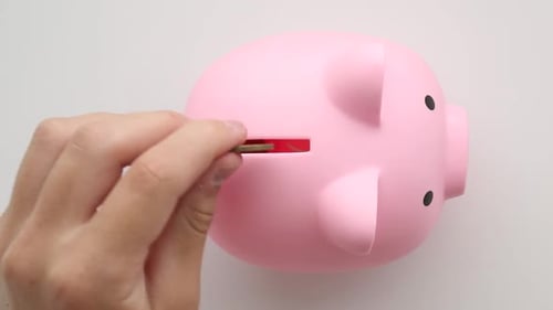 Pink Piggy Bank Coin Insertion Savings Concept