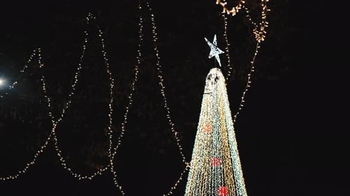 Outdoor Christmas Tree Sparkling in City at Night