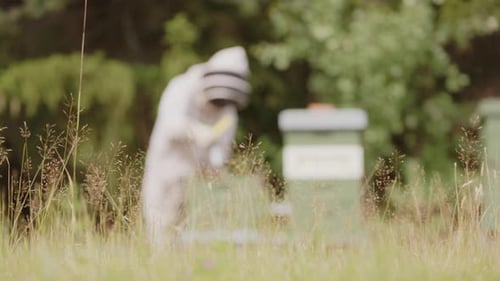 Imker im Bienenschutzanzug inspiziert den Rahmen des Bienenstocks, Fokus des Racks im niedrigen Winkel
