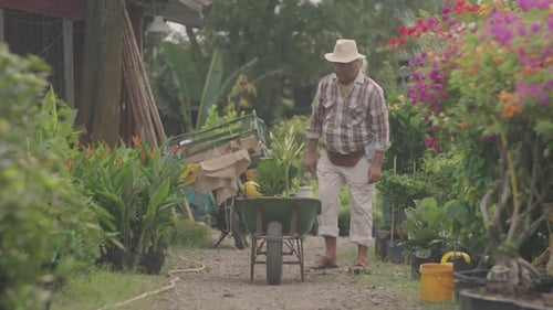 Nurseryman Using Garden Cart at Work