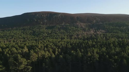 Aerial Tracking Shot Of Vast Green Forest And Rolling Mountains