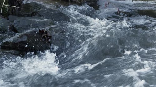 Waterfall On A River In Wild Nature 15