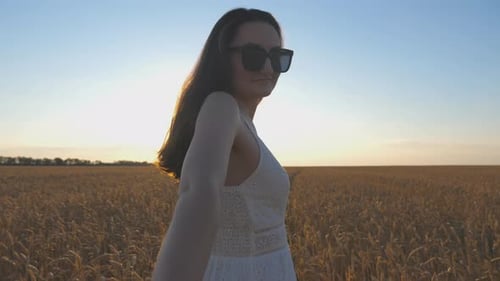 Femme aux lunettes de soleil tenant la main d'un homme et marchant sur un champ de blé sans fin au coucher du soleil, fille de fond