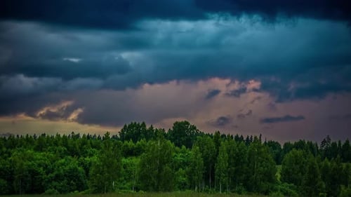 Dramatic timelapse of dark grey storm clouds over a forest. Nature landscape