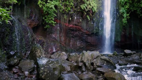 Ruhiger Bach mit moosigen Felsen und schäumender Wasserströmung