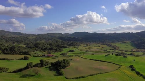 Vue aérienne : Vue panoramique d'un magnifique champ verdoyant. Paysage ensoleillé d'été avec ciel bleu et nuages
