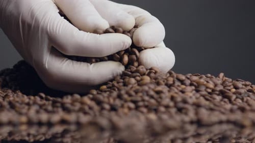 Roasted Coffee Bean Quality Check