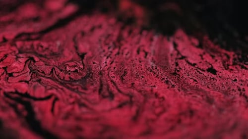 Abstract Footage of Red and Black Fluid Textures