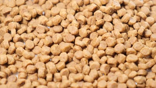 Close Up Piles of Tan Dry Dog Food