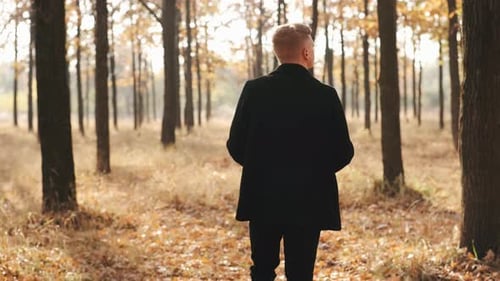 Porträt eines gutaussehenden Mannes im schwarzen Mantel, der an einem sonnigen Tag neben dem Baum im Herbstwald sitzt