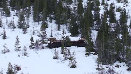 Wooden Cabin And Green Pine Trees In The Mountain During Winter. - aerial shot