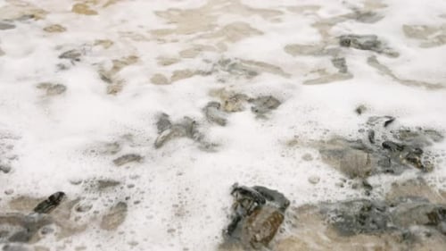 Baby Turtles Hatch Scramble Over Sandy Beach Towards Sea Waves Wash Tiny Hatchlings Into Ocean