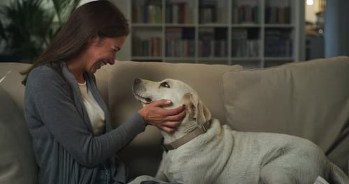 Woman Petting a Labrador Dog on a Sofa