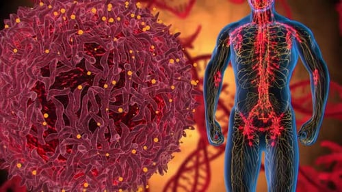 Human Nervous System and Microscopic Cells 3D Animation