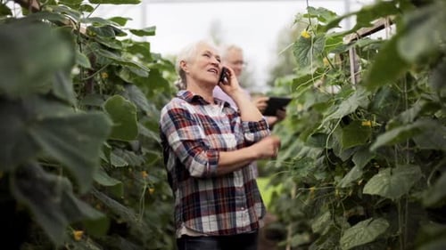 Senior Couple Growing Plants Together in Greenhouse