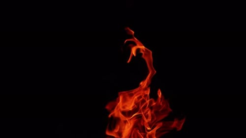 Faszinierende Feuerflammen bewegen sich in der Dunkelheit. Lagerfeuer brennt isoliert auf schwarzem Hintergrund
.