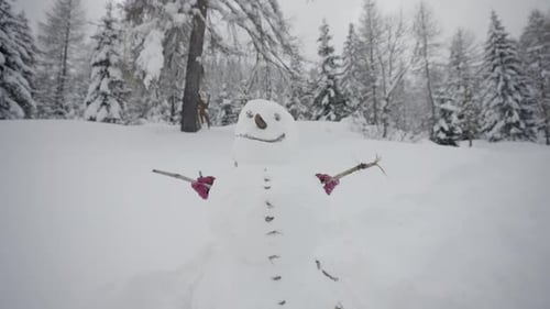 Frosty Snowman with Pink Gloves in Winter Scene