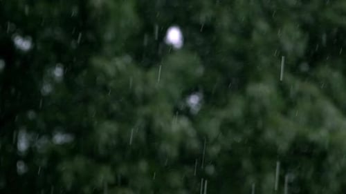 A torrential rain storm downpour shot at 250 frames per second with a shallow depth of field falls i