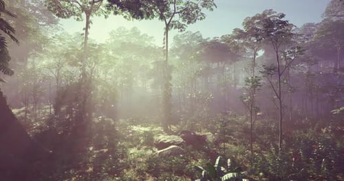 Radiant Sunlight Filters Through Dense Foliage in a Tranquil Forest