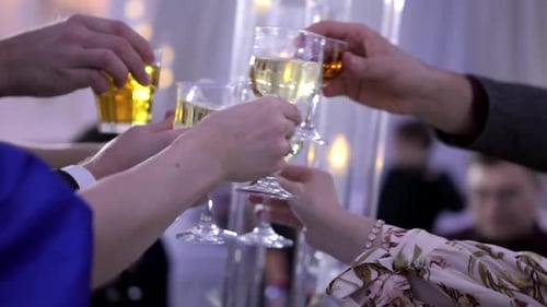 Celebrating with a Toast at a Party