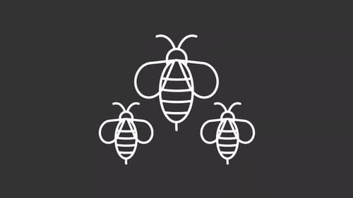 Queen bee white line animation