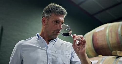 Man Inspecting Wine Glass in Cellar with Barrels