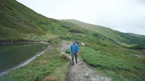A Man Travels Through the Mountains Surrounded By a Landscape a Lake and Dogs