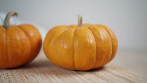 Harvesting Mushrooms and Pumpkins in the Autumn Garden