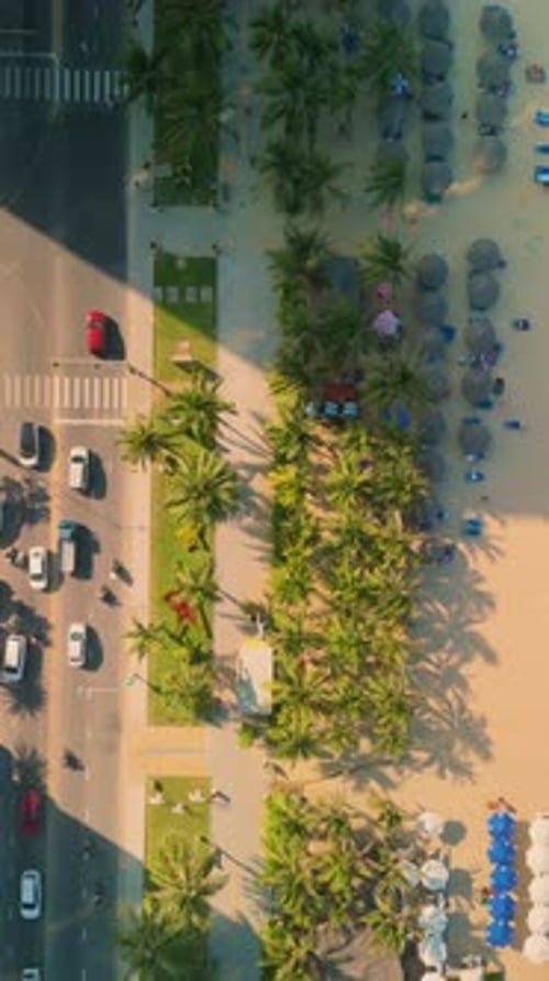 Coastal highway dividing beachfront resort with swaying palm trees, colorful