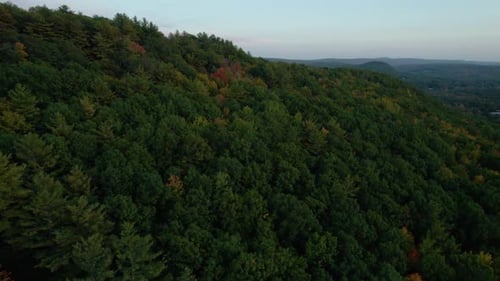 Luftbild von Bäumen in einem Wald auf einem Berggipfel, umgeben von Herbstlaub und viel Grün.