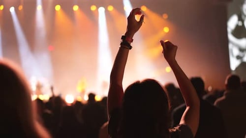 Excited Crowd Enjoying Live Music Event at Night