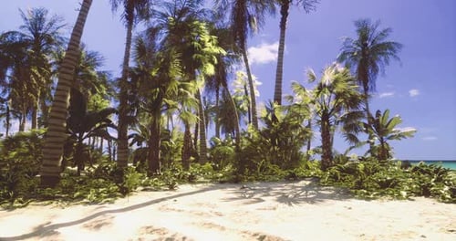 Tropical Paradise with Lush Palm Trees and Sandy Beach Under Clear Sky
