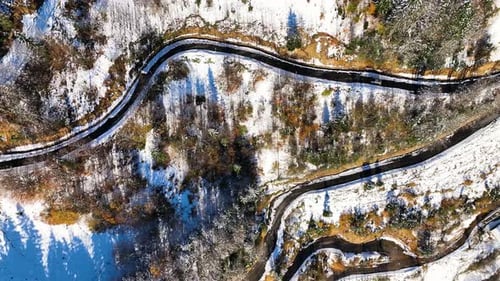 Snowy Driveway