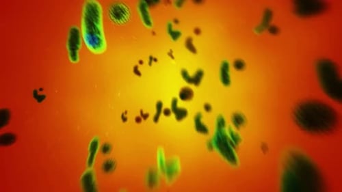Animated Microbes and Bacteria Flowing in Fluid Background
