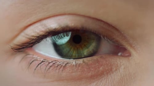 Macro Woman Eye Staring At Camera. Extreme Closeup View Of Female Eye Closing. Human Eye Opening ...