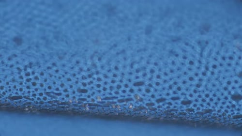 Macro Footage of Tiny Blue Bubbles and Hairs