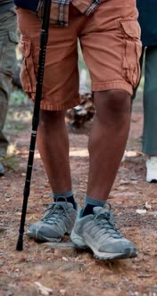 People, legs and hiking in forest for fitness, adventure or exploration for bird watching