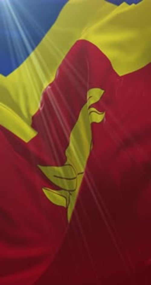 Drapeau de Birmingham