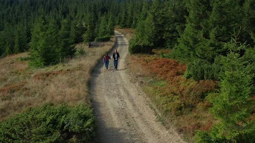Hikers Forest Road Adventure on a Warm Day